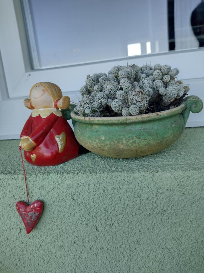 Kilato Apartman Daire Tapolca Dış mekan fotoğraf